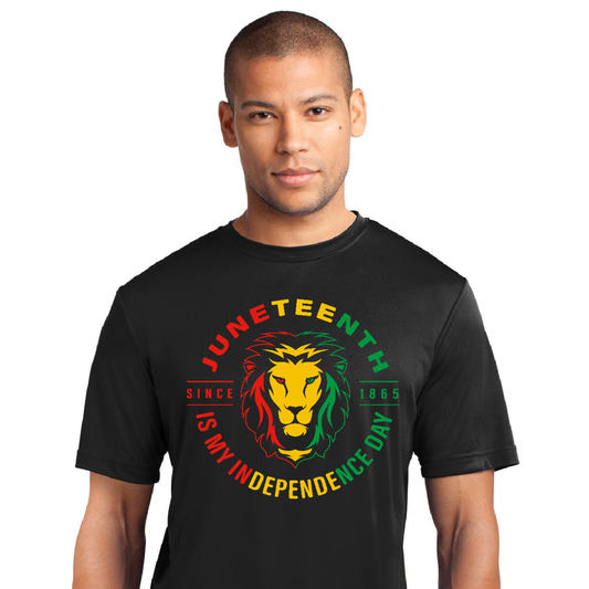 Juneteenth Shirt Independence Day T-Shirt